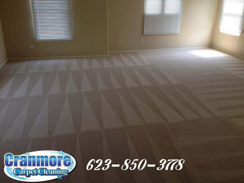 Freshly steam-cleaned carpet with crisp vacuum stripes in a bright Surprise, AZ home